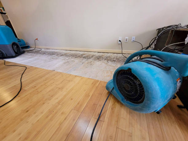 Professional Emergency Water Damage technician working in Millsboro, DE